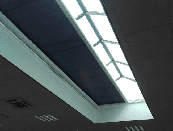 Untitled design (40)